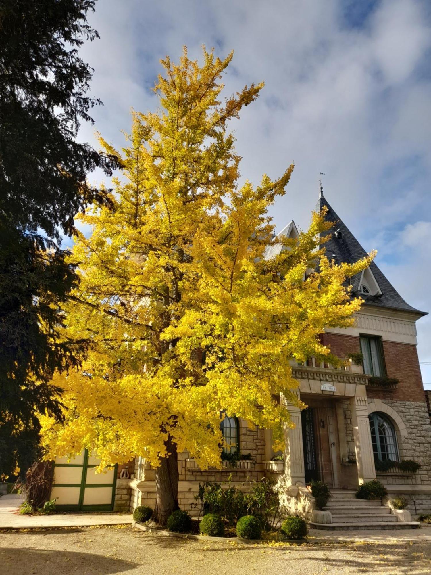 Villa Les Iris Saint-Felix  Bagian luar foto